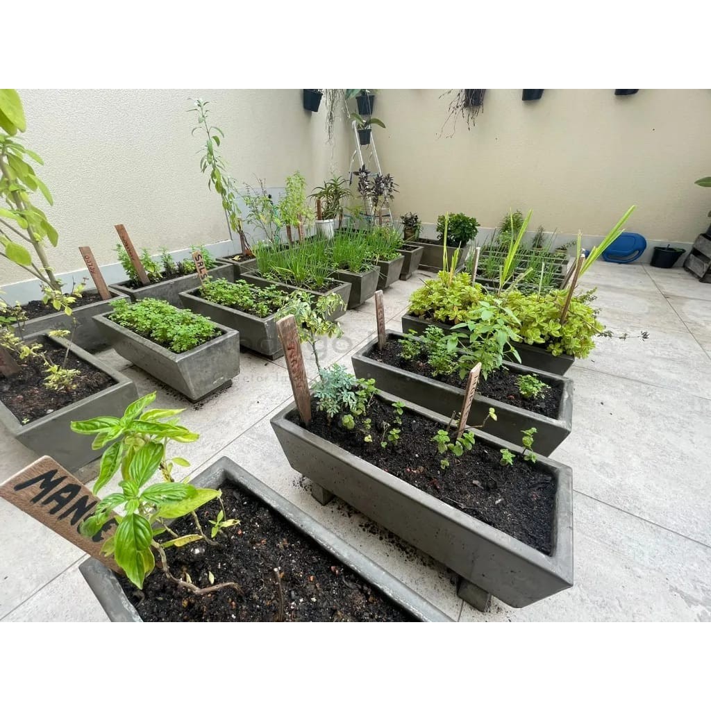 Apto finamente mobiliado  com Vista Mar 🌊 